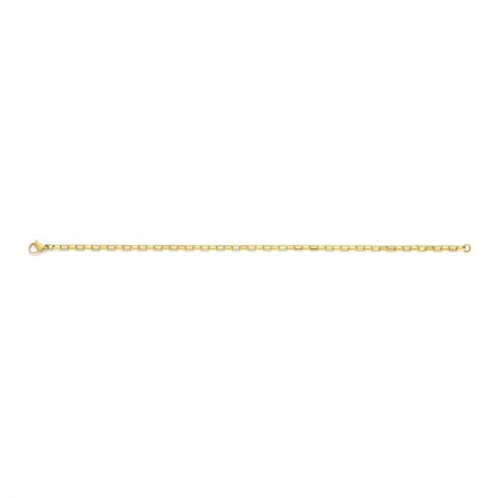 7FB-0823 – Frank 1967 – Stalen Schakelarmband – Goudkleurig   – Mat