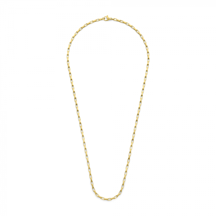 Frank 1967 7FN-0080 Schakelketting – Goudkleurig – Roestvrij Staal – 50 cm – Luxe Heren Ketting